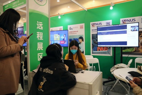 中國國際教育展在京舉行，跆拳道技術咨詢成亮點
